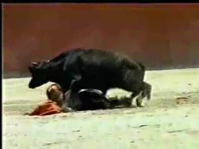 Gangsta black bull inseminates hucow claudia