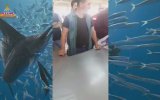 Günün En Çok İzlenen Videoları - 09.02.2018