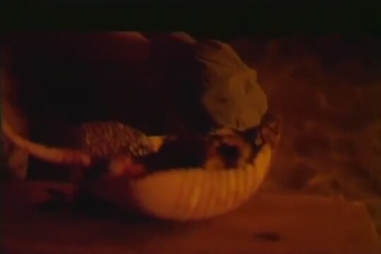 La Libertad (2001) Fragman