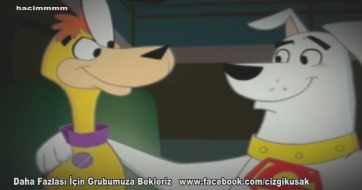 süper köpek kripto
