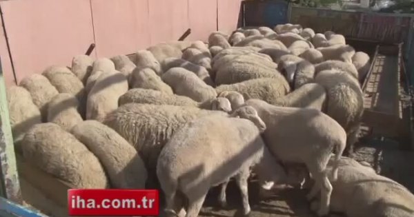 Kurban eti tüketirken dikkat edilmesi gerekenler Kurban eti tüketirken dikkat edilmesi gerekenler