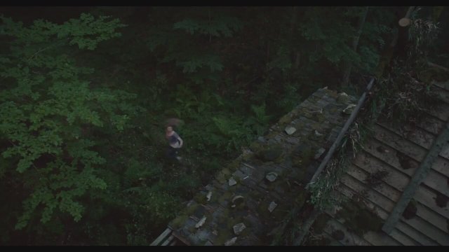 The Forest (2016) İlk Görüntüler