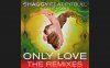 Shaggy feat. Pitbull, Gene Noble - Only Love (Bad Royale Remix)