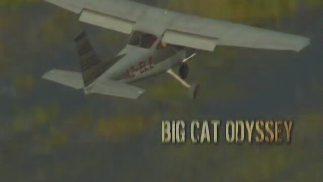 Big Cat Odyssey (2010) Fragman