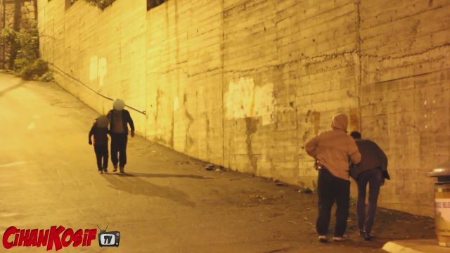 Üzüm üzümlerinin kesimiyle çoğaltılması: ne zaman ve ne zaman yürümek daha iyidir 82