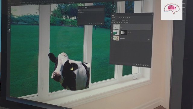 Adobe illustrator cs4