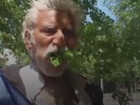 Ağaç Eken Adam Ağaç Eken Adam