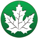 Çınaraltı