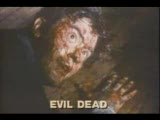 Evil Dead(Şeytanın Ölüsü)