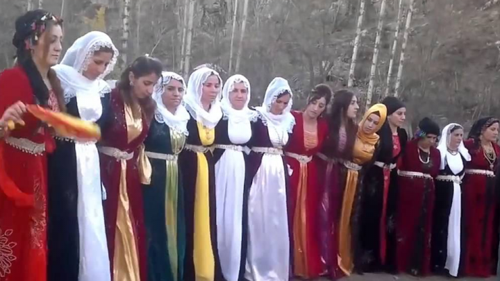 kürtçe halaylar Videoları