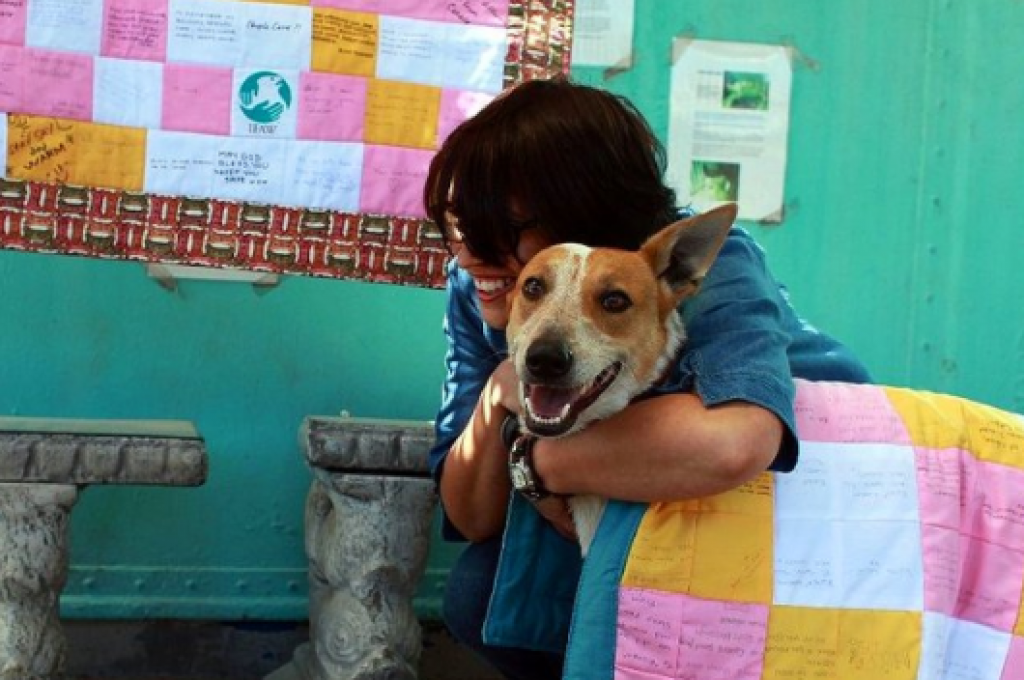 Kalbi Çürümüş İnsanların Zulmünden İyi Kalpli Bir İnsan Tarafından Kurtarılan Engelli Köpek Lily