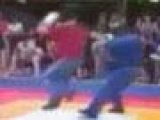 Japon Sporcular