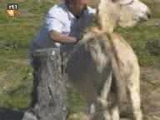 eşeğin intikamı