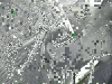 iğrenç fil