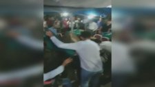 Kaçak Boğanın Kahveye Dalması