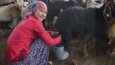 Kalem Seni Parça Parça Kırarım Süper Paylaş