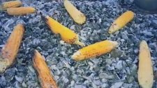 İşte Gidiyorum Çeşmi Siyahım