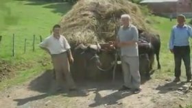 Umut Cakir - Helal Et Hakkını Umut Cakir - Helal Et Hakkını