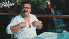 Bülent Serttaş'ın Klibindeki Efkarlı Papağan