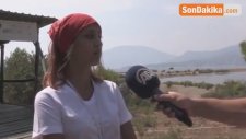 Caretta Carettaları Gönüllü Gençler Koruyor