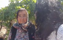 ÜzümKent Alaşehirli bağcı Dudu