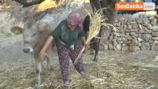 55 Yaşındaki Feriştah Hilin Yanan Evini Terk Etmiyor