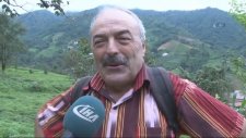 Rizeli Dayının Geliştirdiği Çay Toplama Makinesi