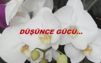 Düşünce Gücü...
