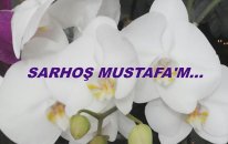 Sarhoş Mustafa'm...