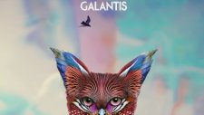 Galantis - Hey Alligator