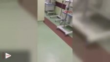 Şanlıurfa'da Yeni Doğan Servisine Fare Girdi