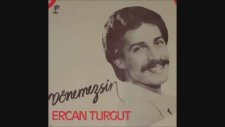 Ercan Turgut - Neredesin Sen