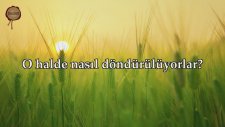 Ankebut Suresi - Nasser al Qatami (Kıraat 2) | fussilet Kuran Merkezi