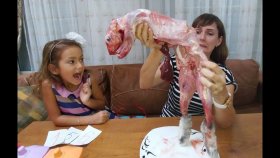 Kutuda Ne Var Challenge, Neler Var Neler, Elif Ve Lera Kapışıyor Kim Kazanacak