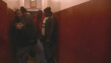 Ol' Dirty Bastard - Brooklyn Zoo (1995)