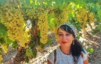 Ev Bezgini Üzüm Kent Alaşehir'de