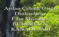 Bülbülün Kanadı Sarı Dinlendirici Film Müzikleri Solist Aydan Çelenk Üstün
