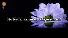 Hakka Suresi - Hazza al Balushi | fussilet Kuran Merkezi