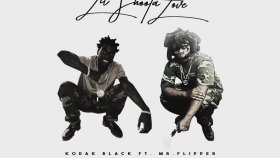 Kodak Black - Lil Shoota Love Feat. Mr.Flipper Kodak Black - Lil Shoota Love Feat. Mr.Flipper