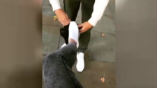 Örnek Sevgili Alvaro Morata!
