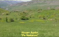 Hozan Aydın Pe Nıkarım klip