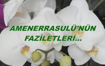 Amenerrasulü'nün Faziletleri...