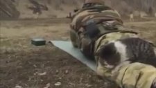 Atış Talimi Yapan Askerin Bacağında Uyuyan Sevimli Kedi