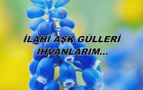 İlahi Aşk Gülleri İhvanlarım...