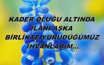 Kader Oluğu Altında İlahi Aşka Birlikte Yürüdüğümüz İhvanlarım...