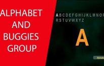 Alphabet And Buggies Group