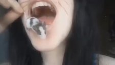 Hamster'ı Afiyetle Mideye İndiren Kız