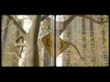 Murat Boz - Dönmem Ben Sana