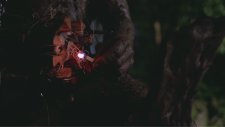 Predator 1987 Arnold Schwarzenegger Savaş Çığlığı