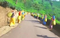 Kashmir Main Tu Kanyakumari-Chennai Express-Deepika Padukone-Shahrukh Khan (Türkçe Altyazılı)